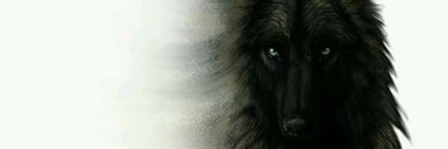 Fluffy profile banner