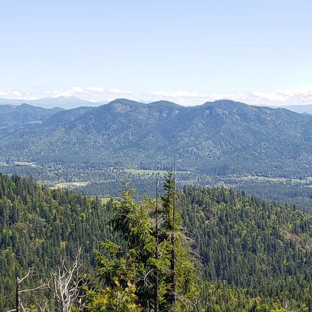 Mountainman profile banner
