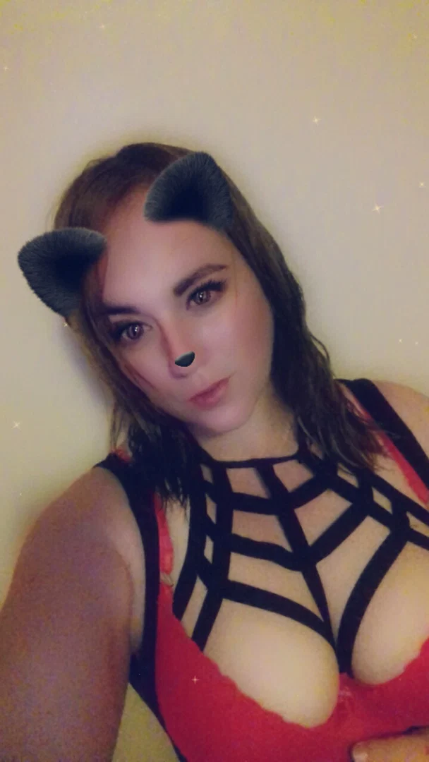 Bunny profile banner