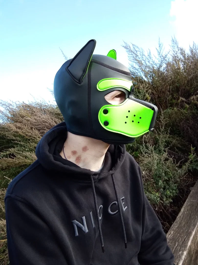 Pup_Oscar profile banner