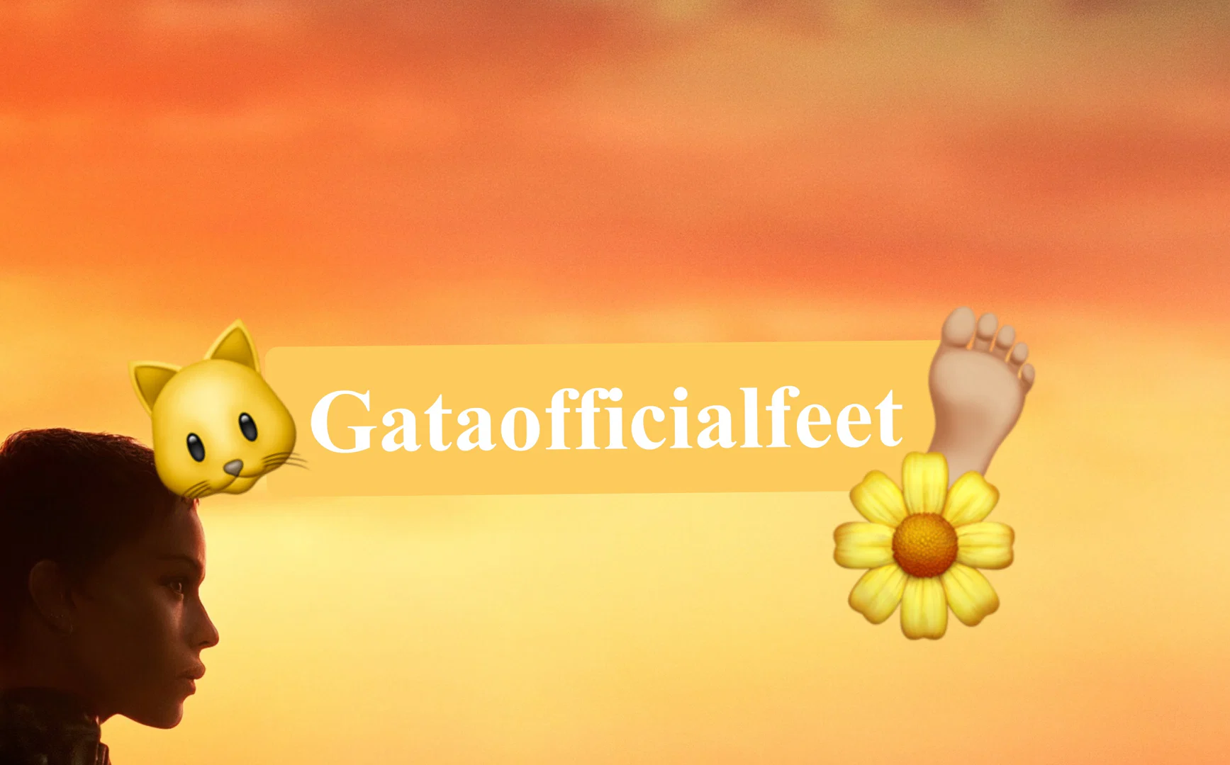 Gataofficialfeet👣✨ profile banner