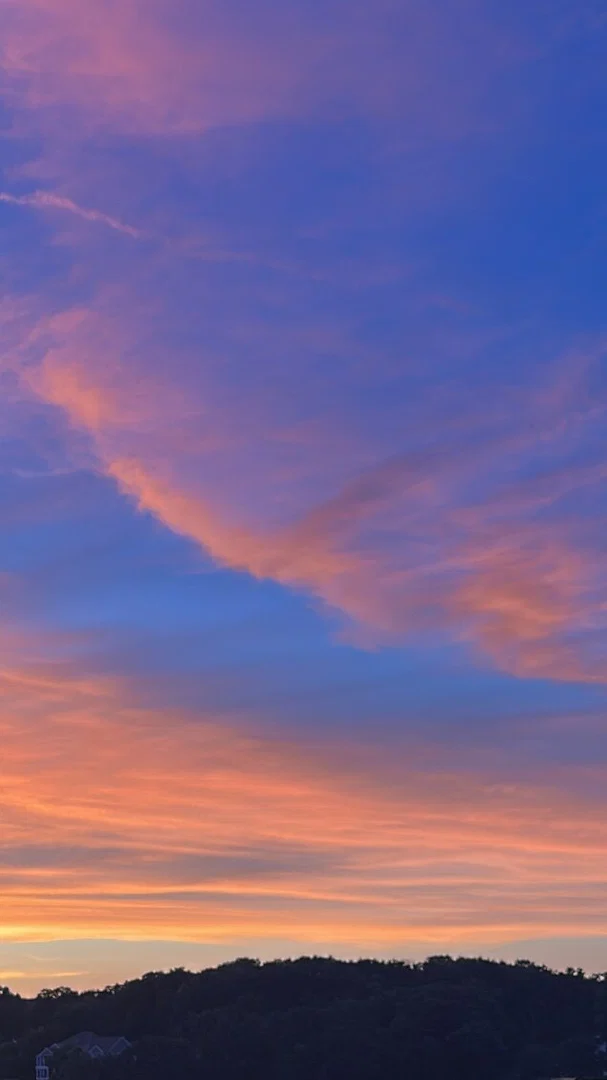 Skye Rose profile banner
