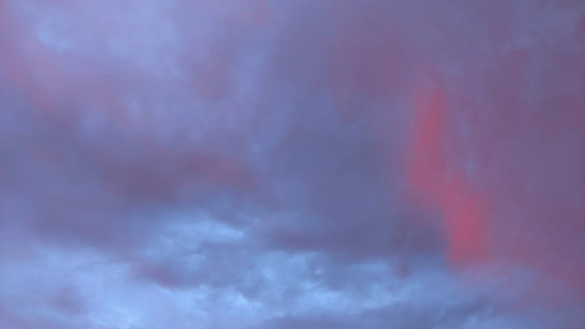Busty Bambi profile banner