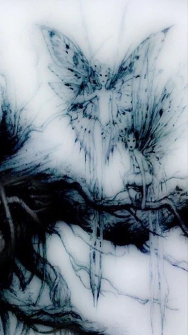 she profile banner