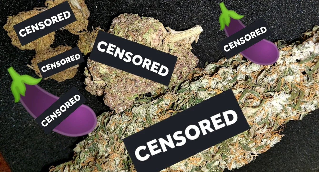 my Dick & some Weed profile banner