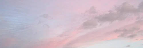 Ellz profile banner