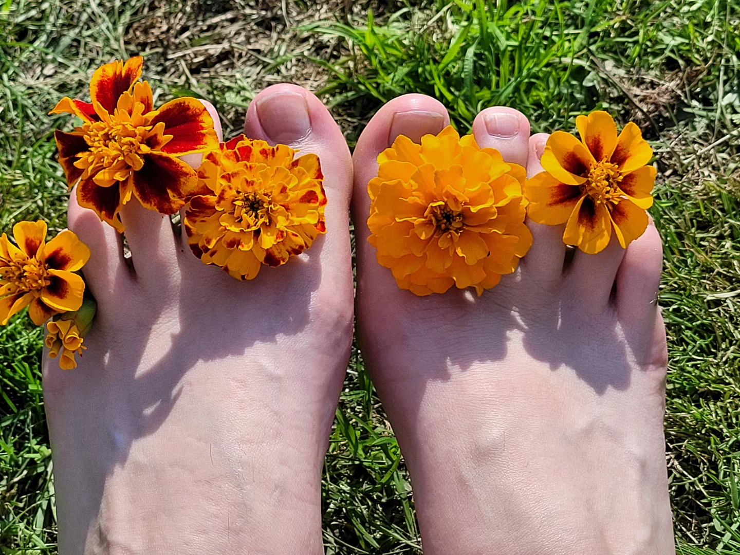 Sugarfeet3 profile banner