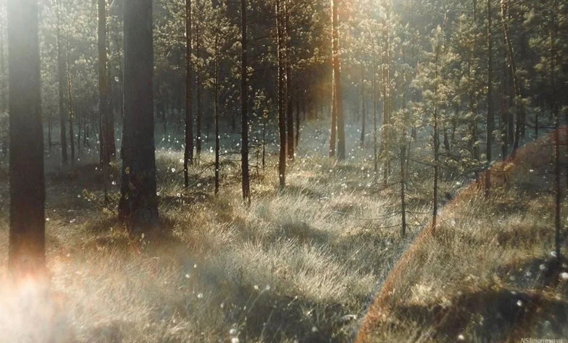 Bambi profile banner