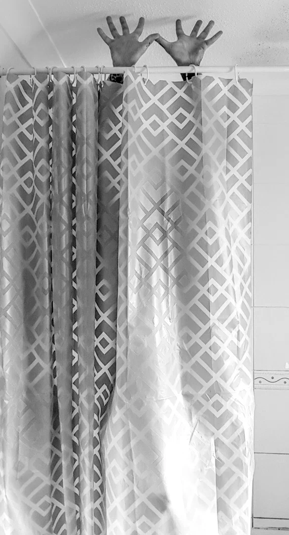 vulpesvulpes profile banner