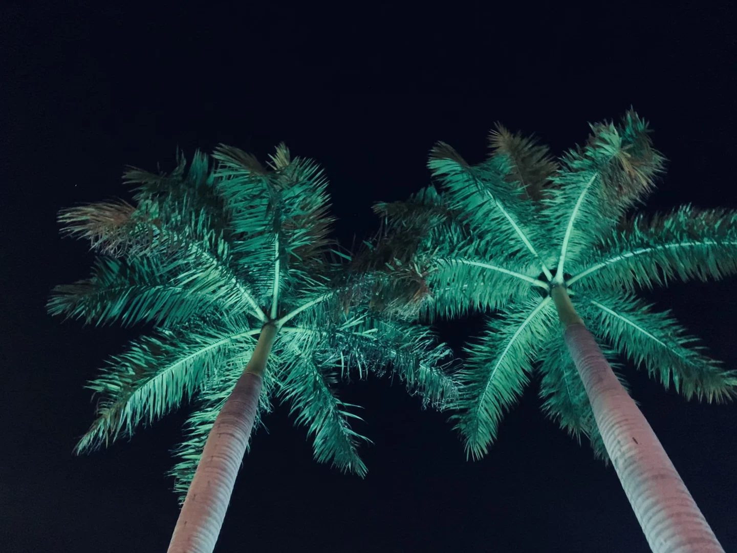 Cameron🏝 profile banner