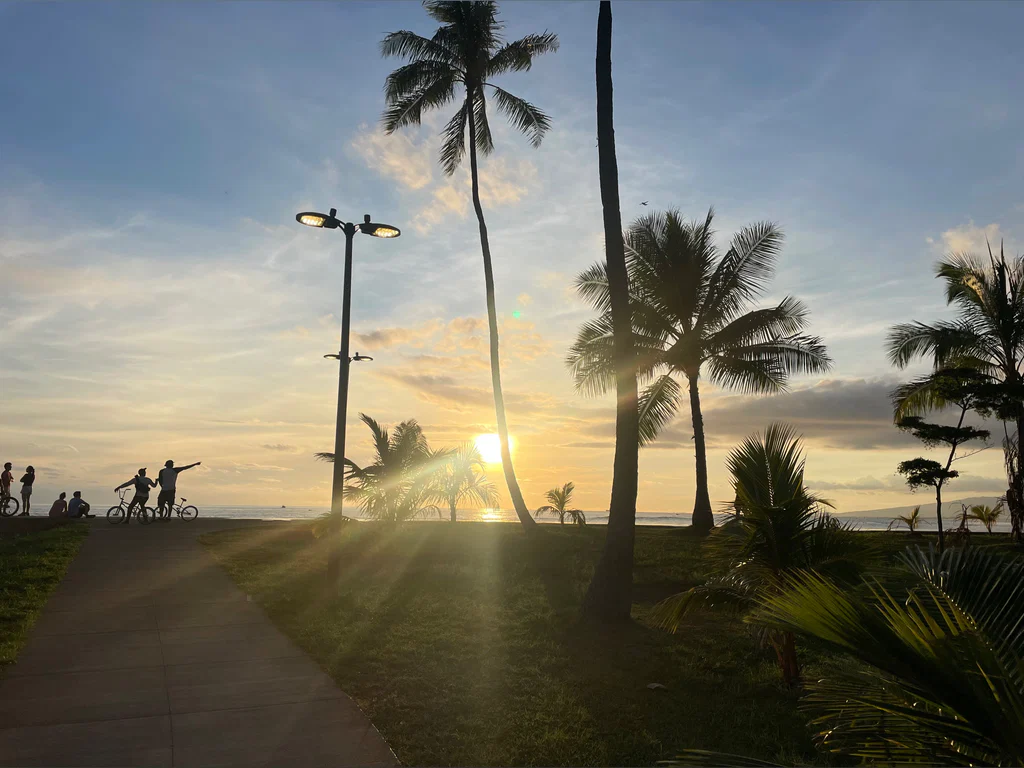TheSunsetKing's avatar