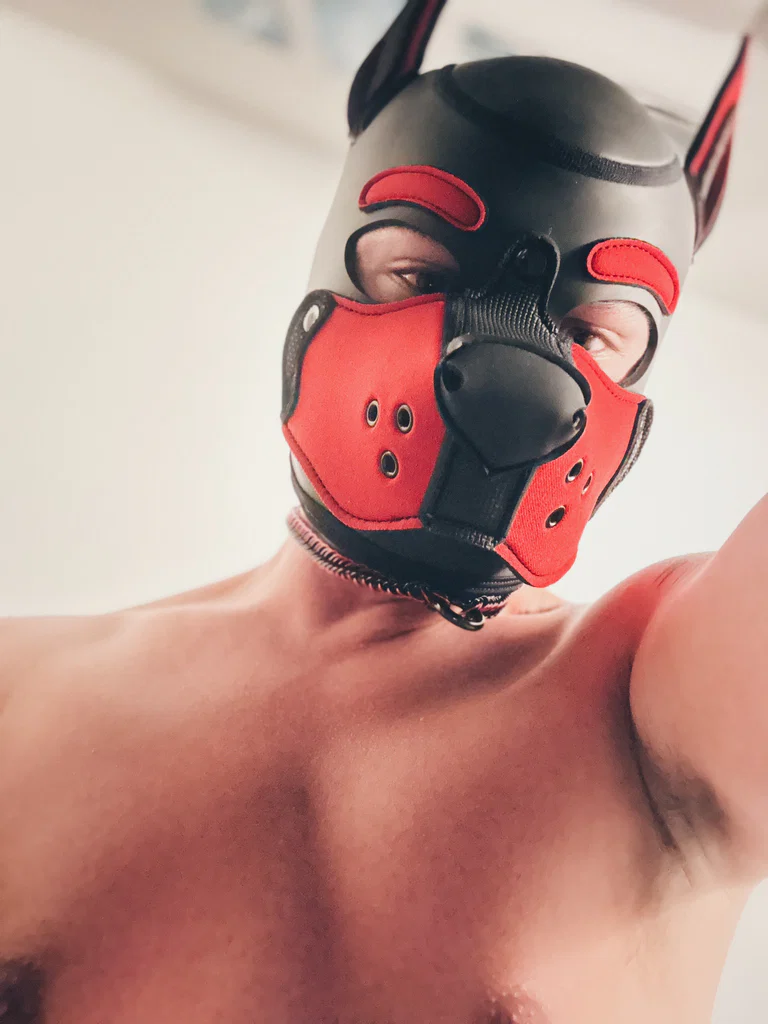 Pup Bandit's avatar