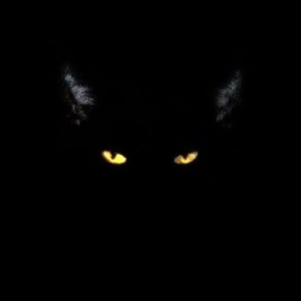 cris's avatar