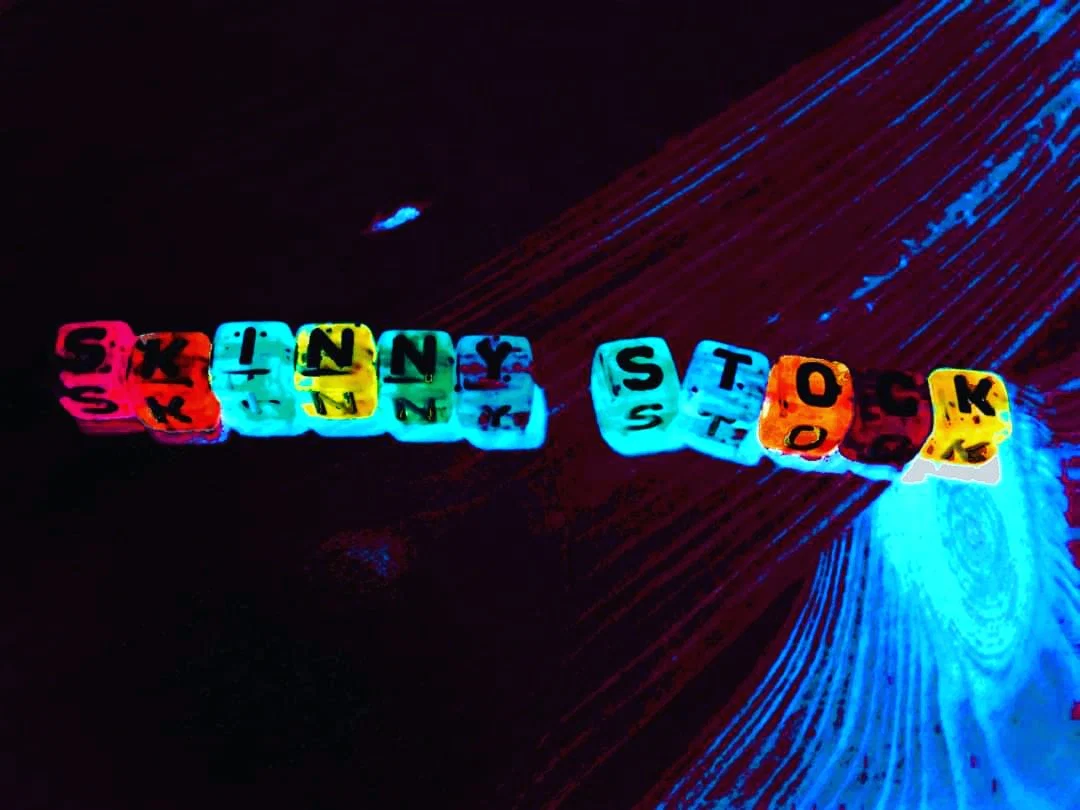 Skinny Stock profile banner