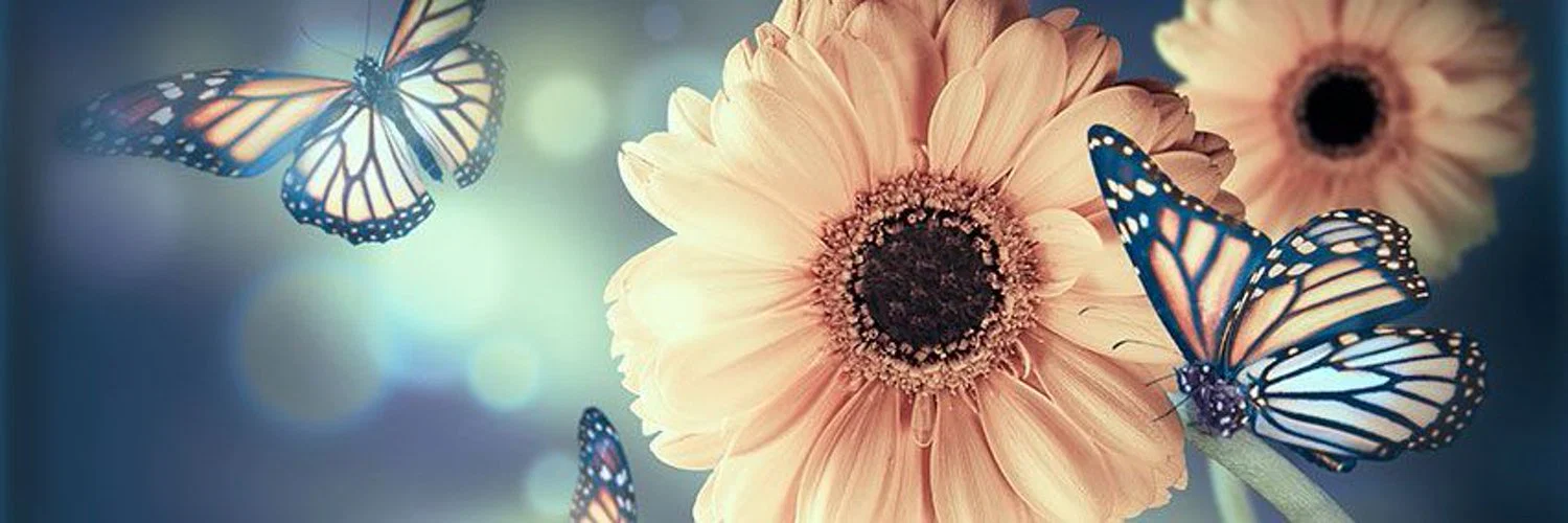 🦋 Lys 🦋 profile banner