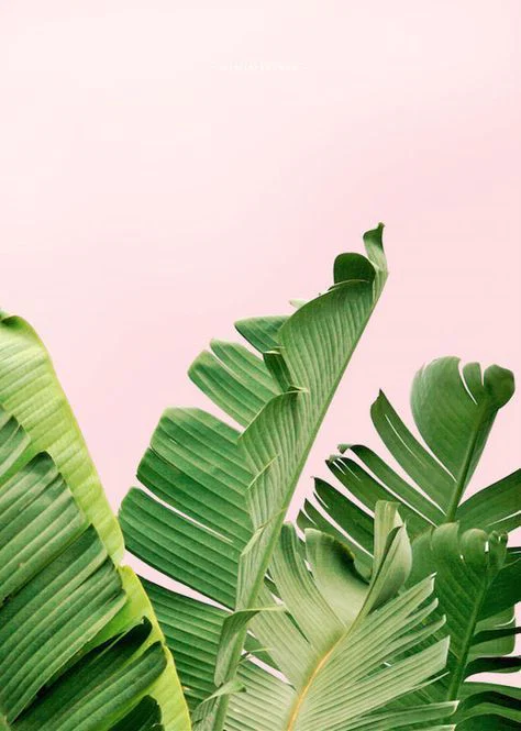 g h o s t profile banner