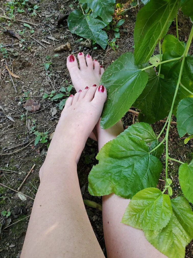 Ivy