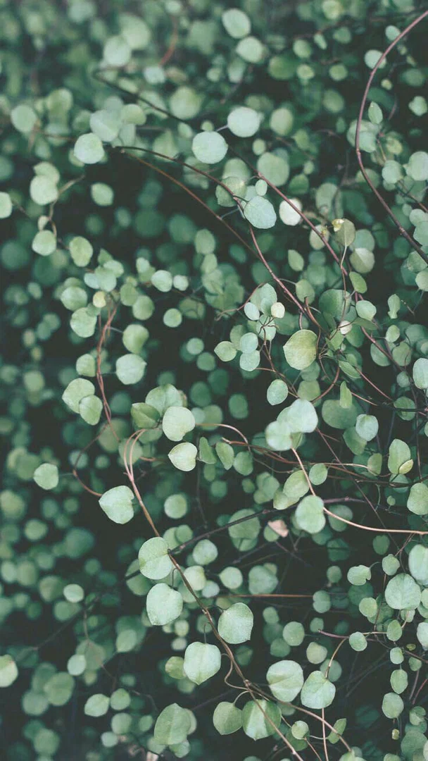 Sophie ๐ profile banner