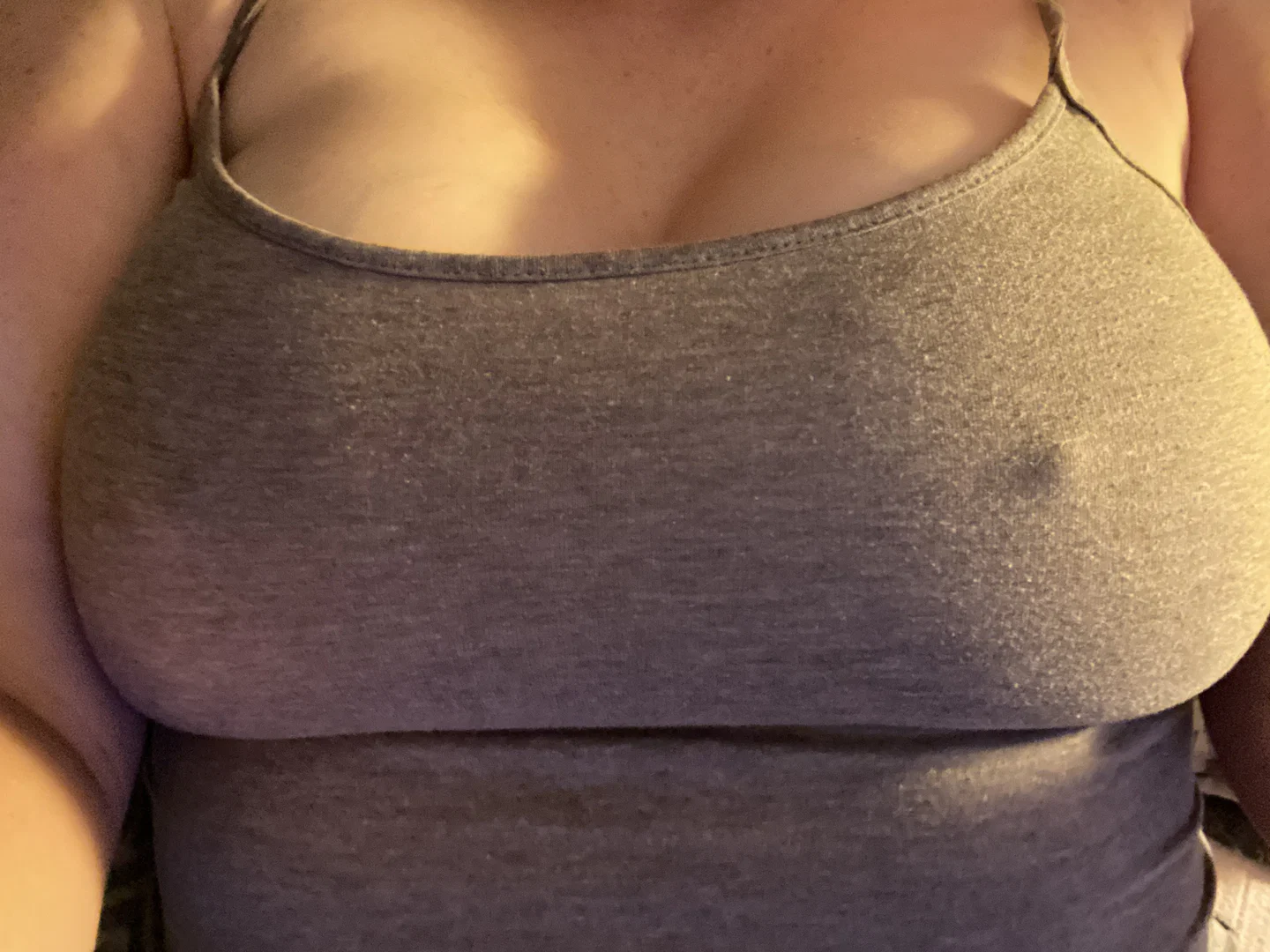Porcelain Vixen profile banner