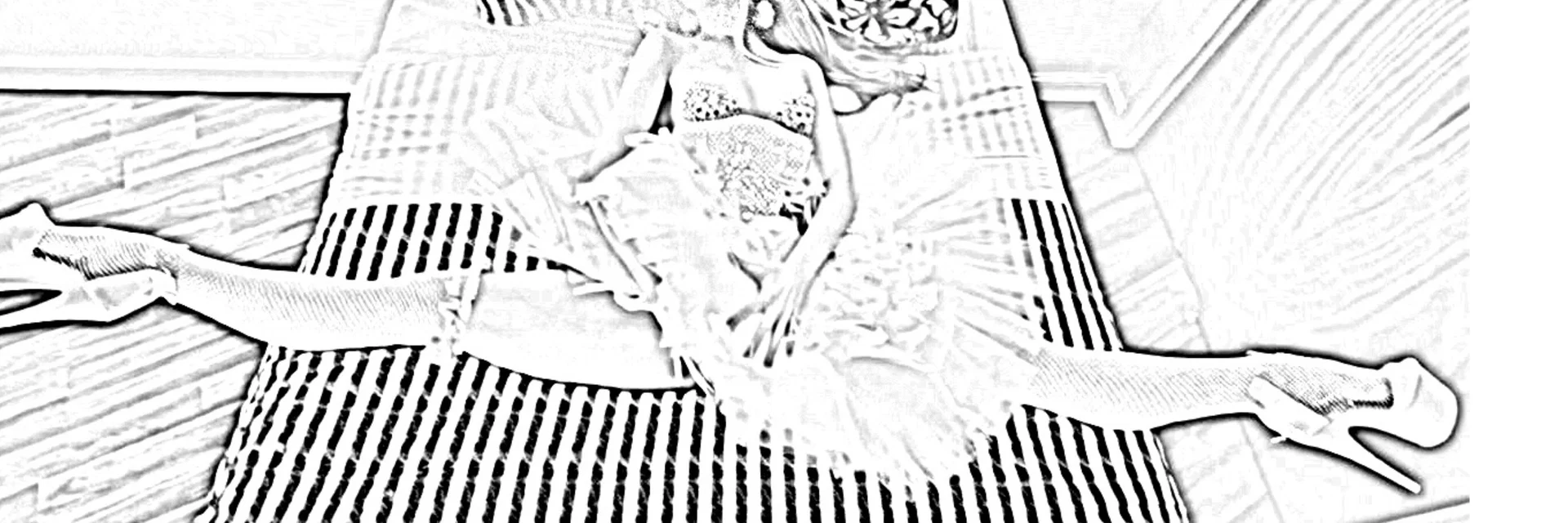 stretchyswan profile banner