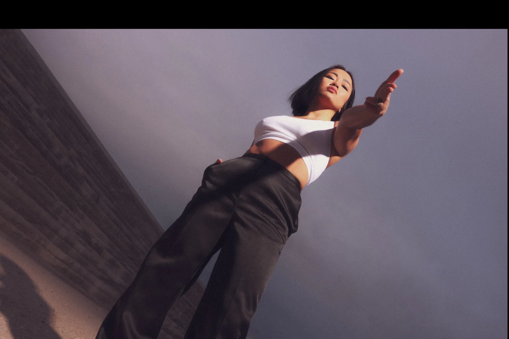 Killerbee Nguyen profile banner
