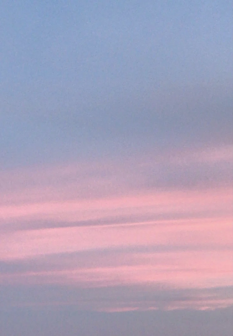 Molly profile banner