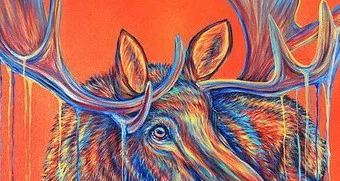 Dalton™ profile banner