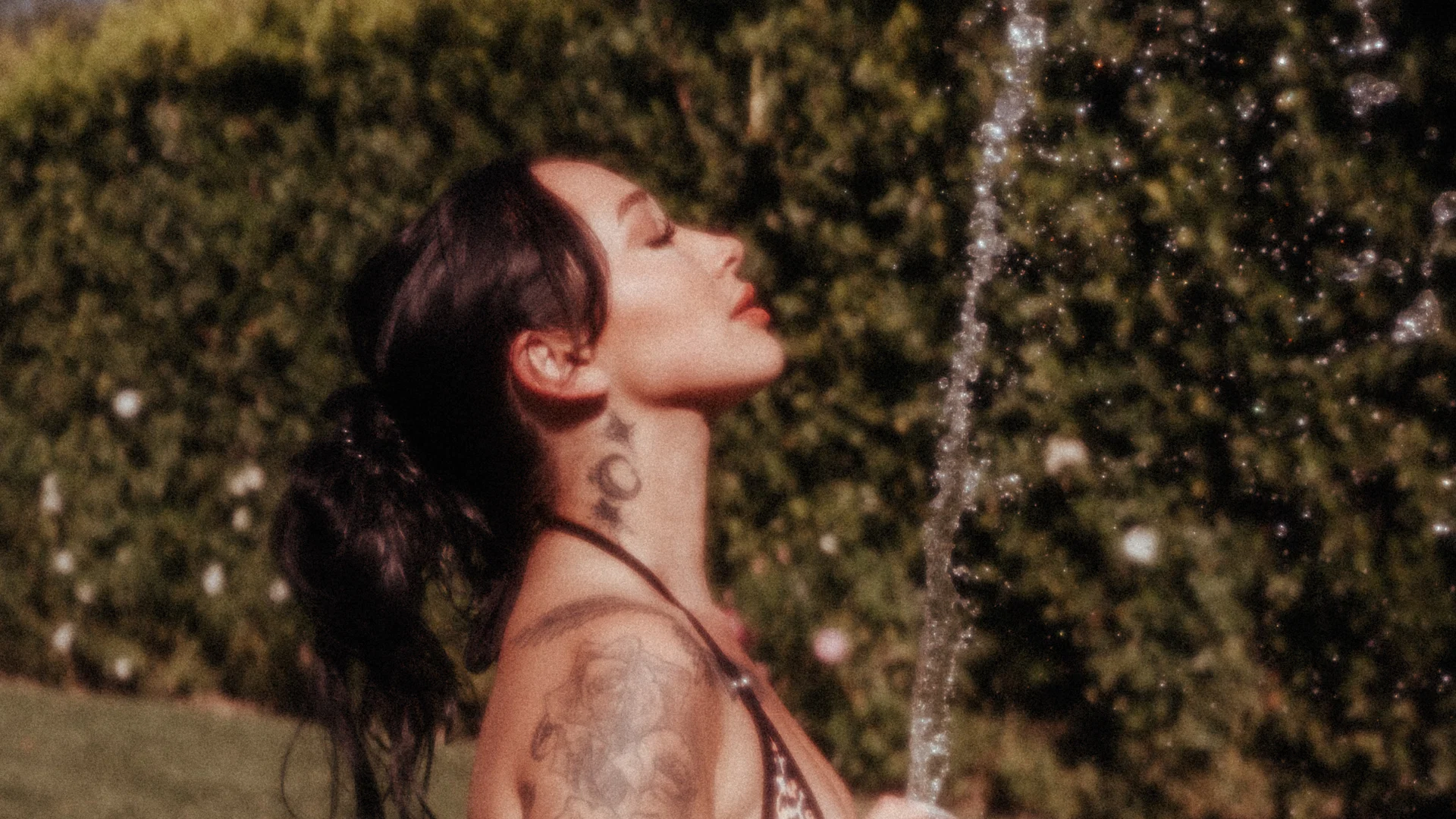 Meg profile banner