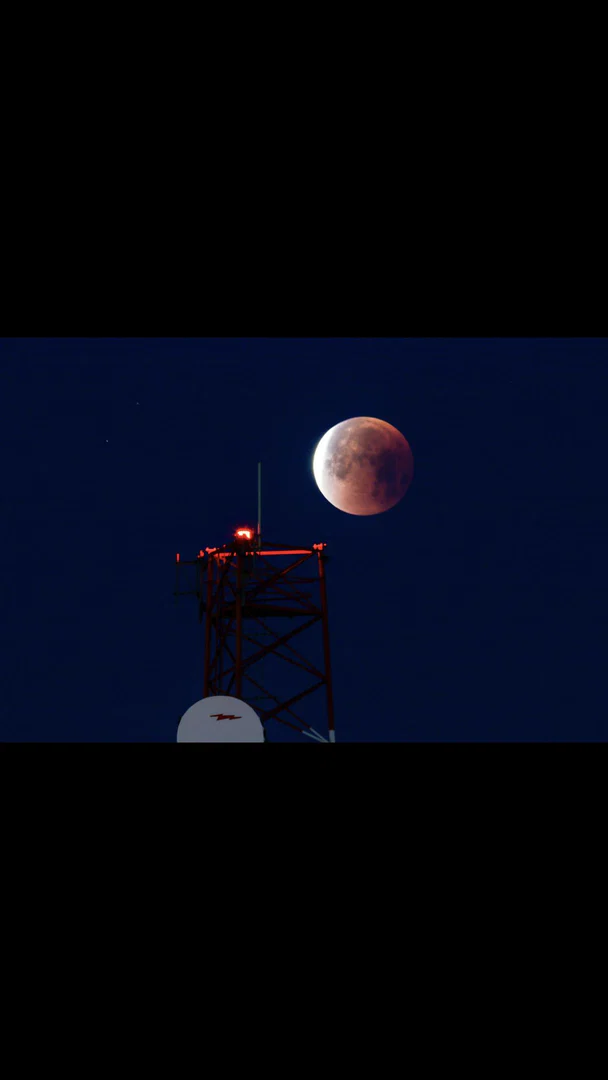 Cock Rocket profile banner
