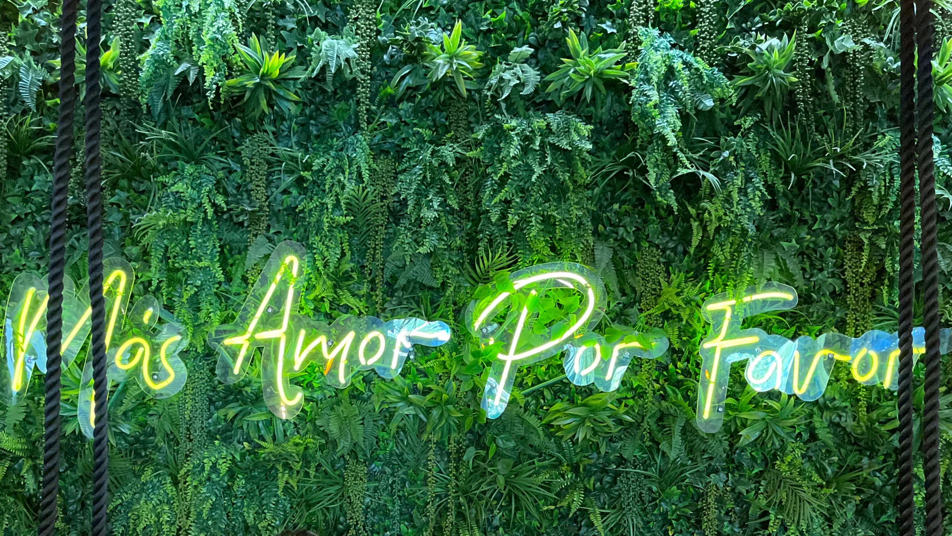 Mamí ❤️🔥 profile banner