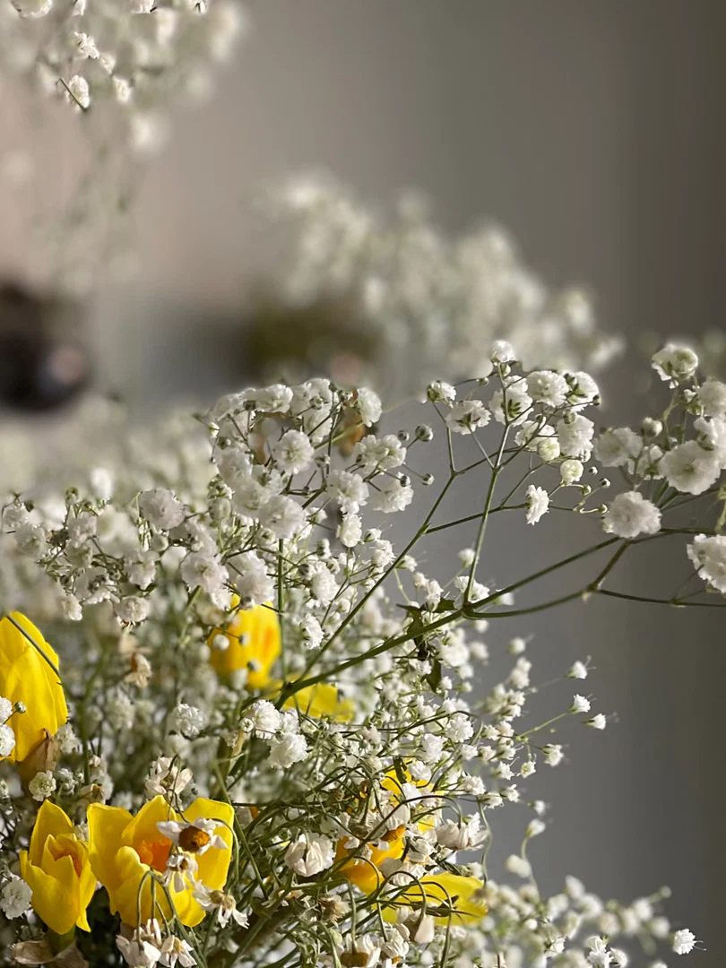 wildflowers profile banner