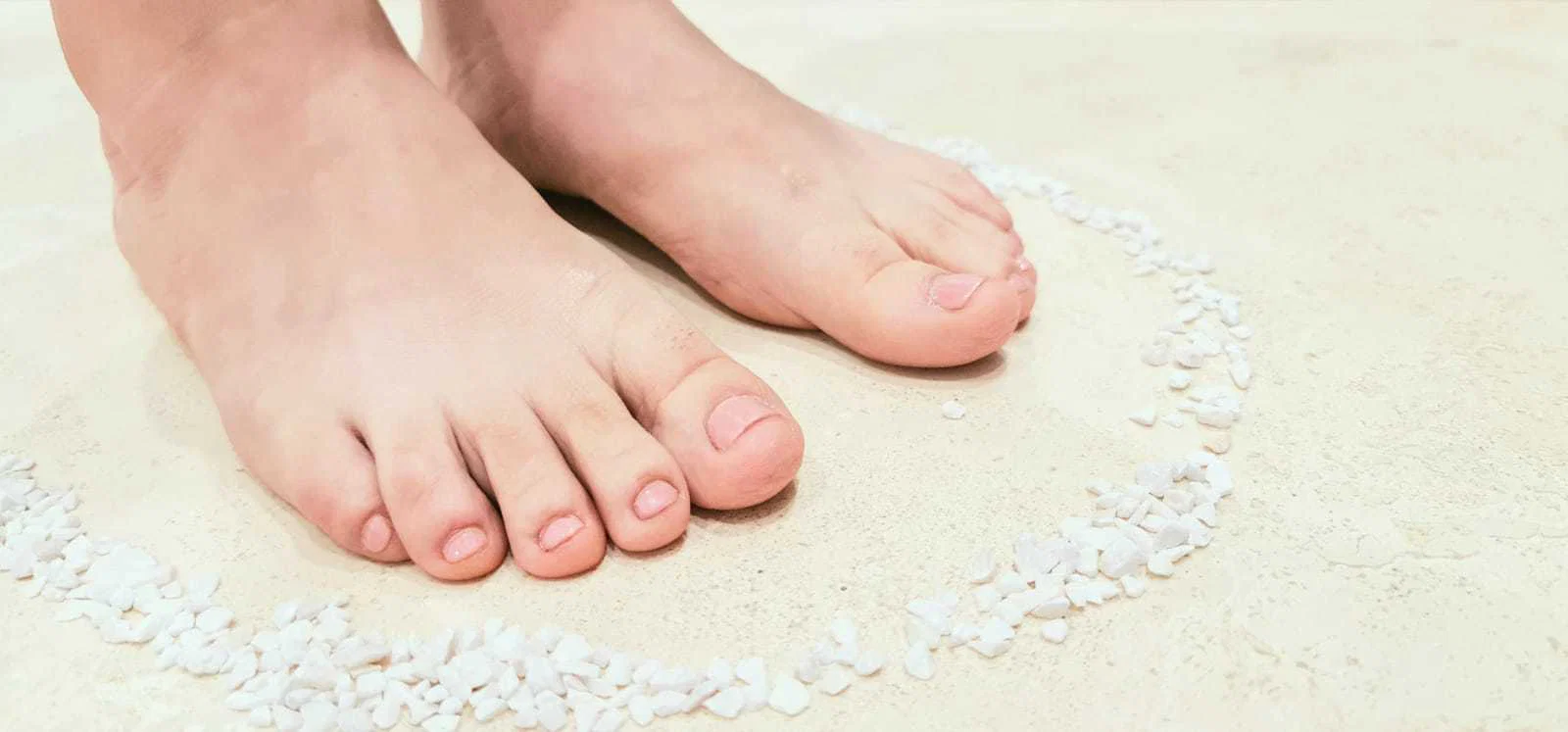 Bunny Feet profile banner
