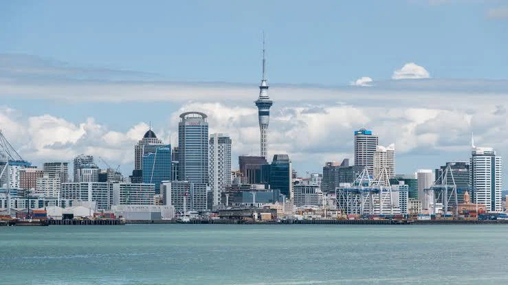 NZweirdfeetguy profile banner