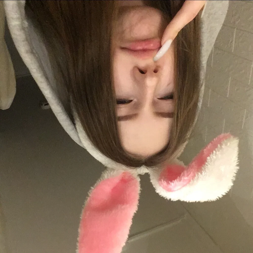 your bunny🐰's avatar