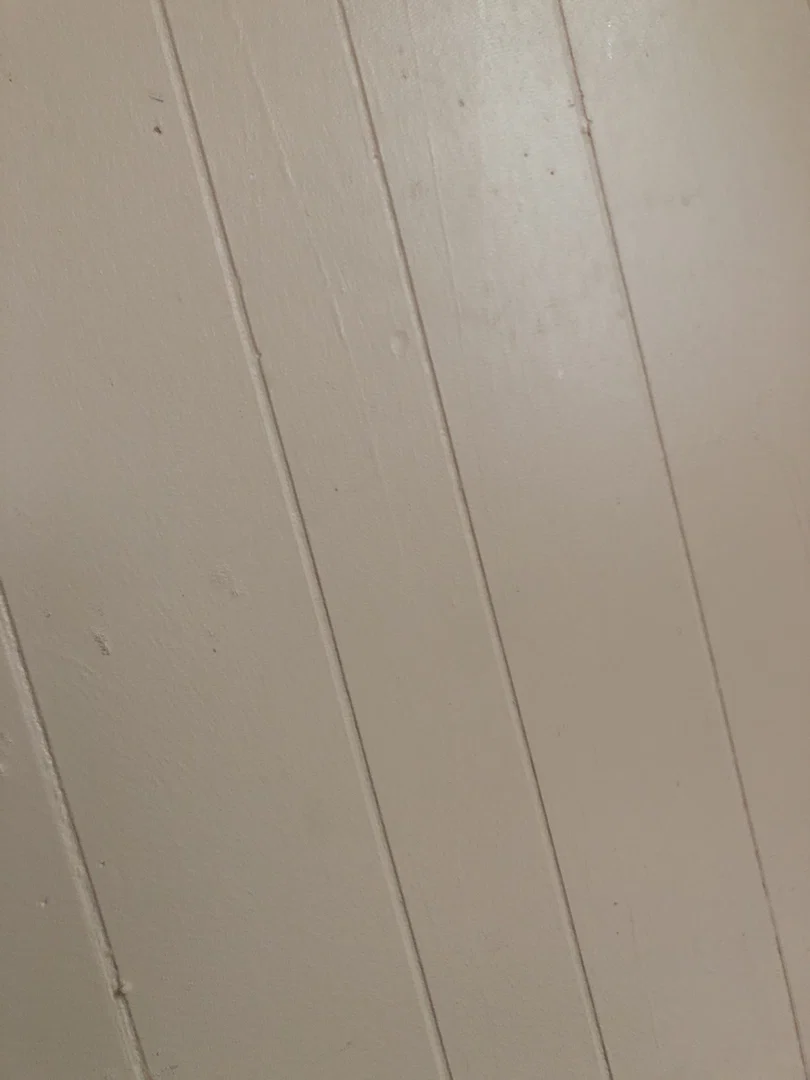 Brandon!!!! profile banner