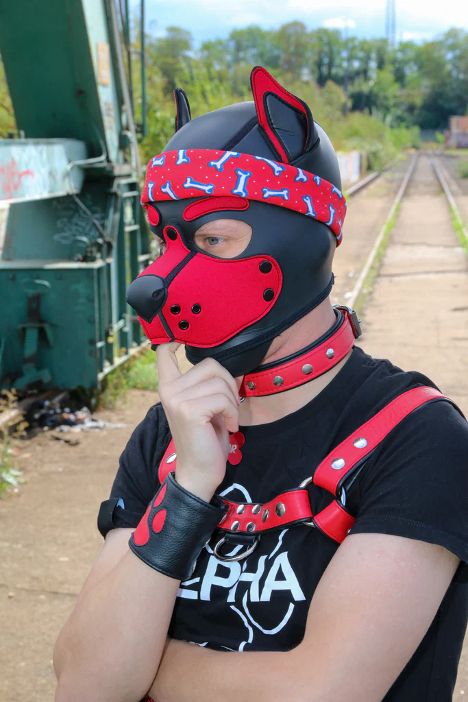 Skylar the cute Puppy's avatar