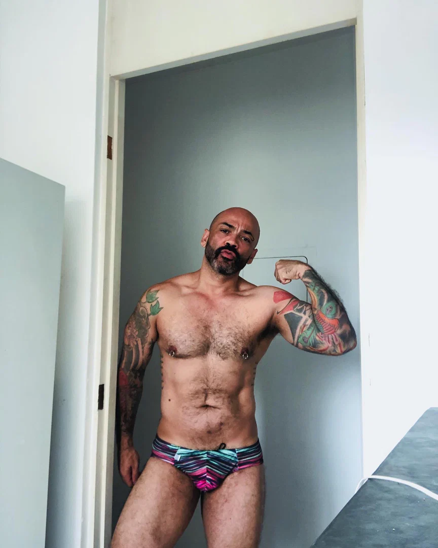 Hot Bear Brazil profile banner