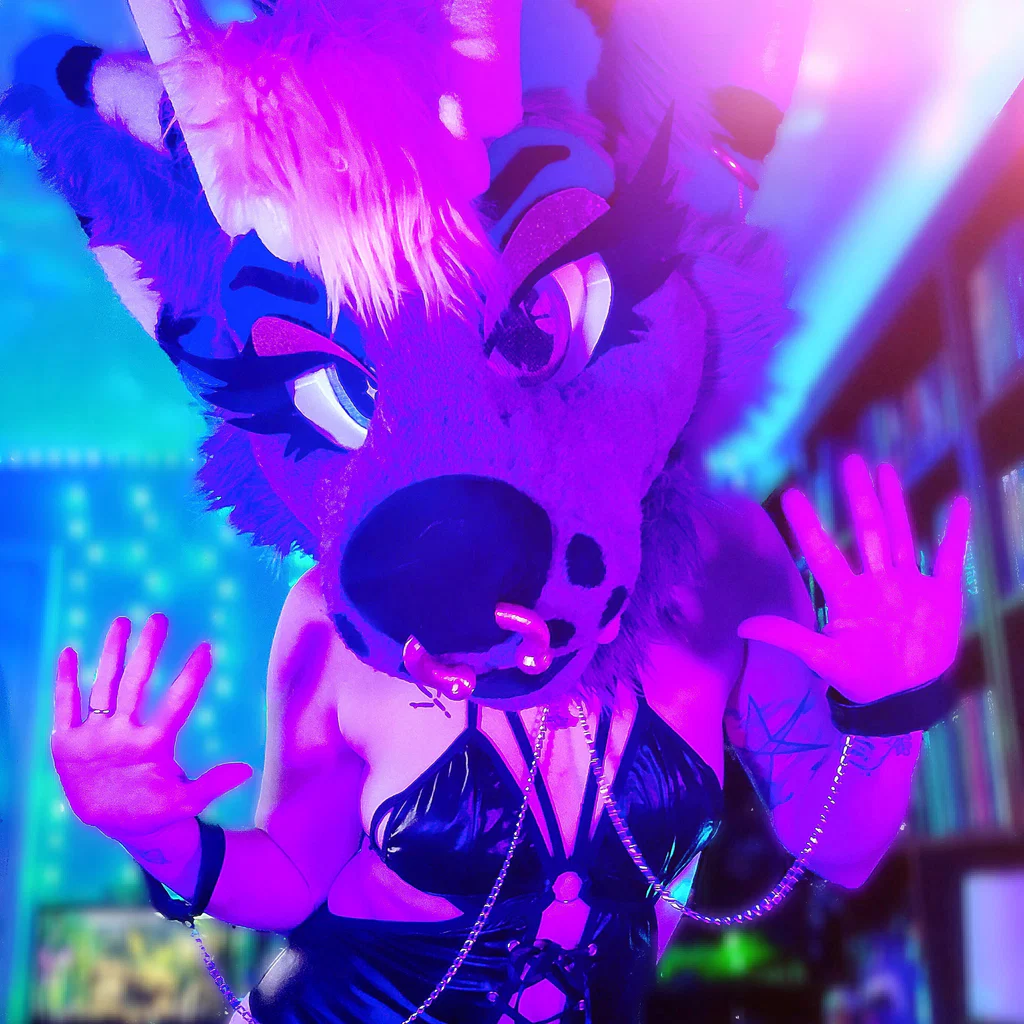 ♡ Nova ♡'s avatar