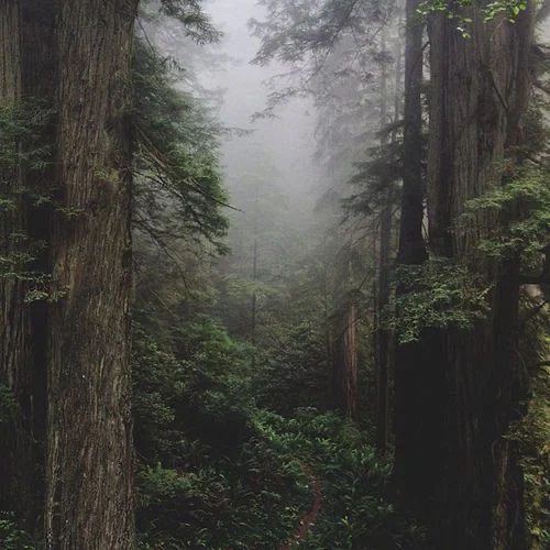 freedirtybackwoodsbabe profile banner