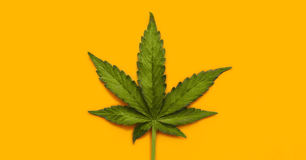 After Dark High Times profile banner