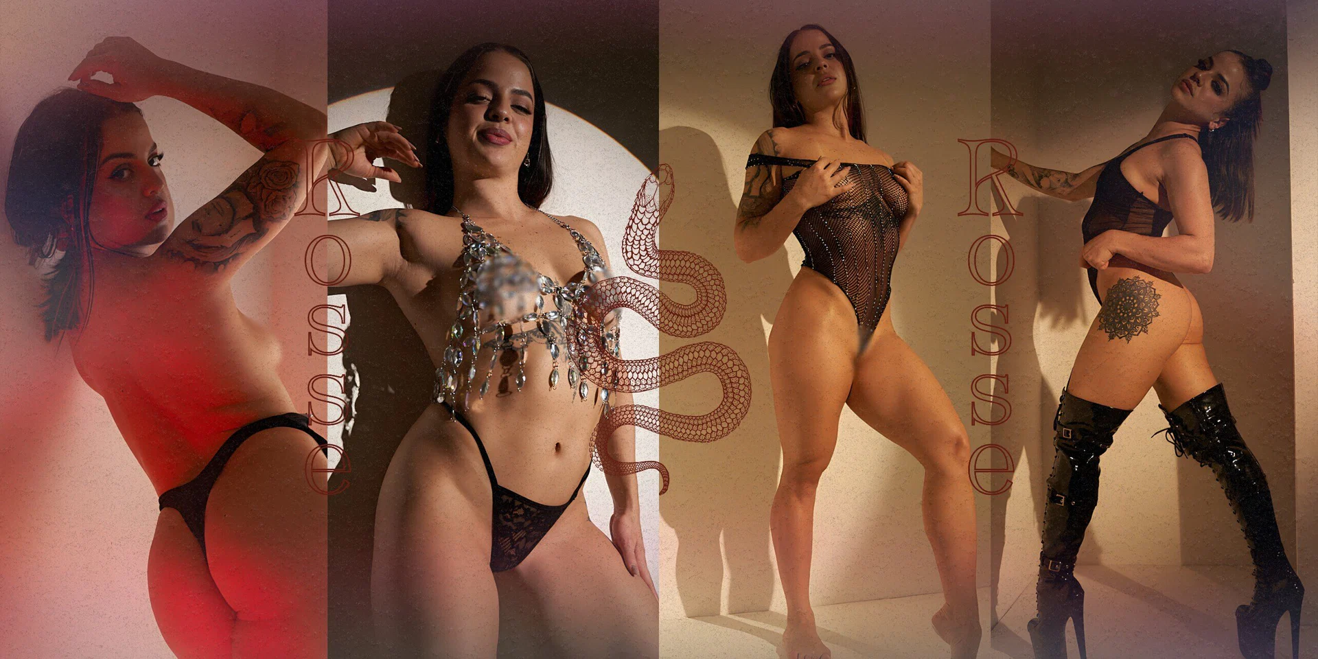Rosse πΉ profile banner