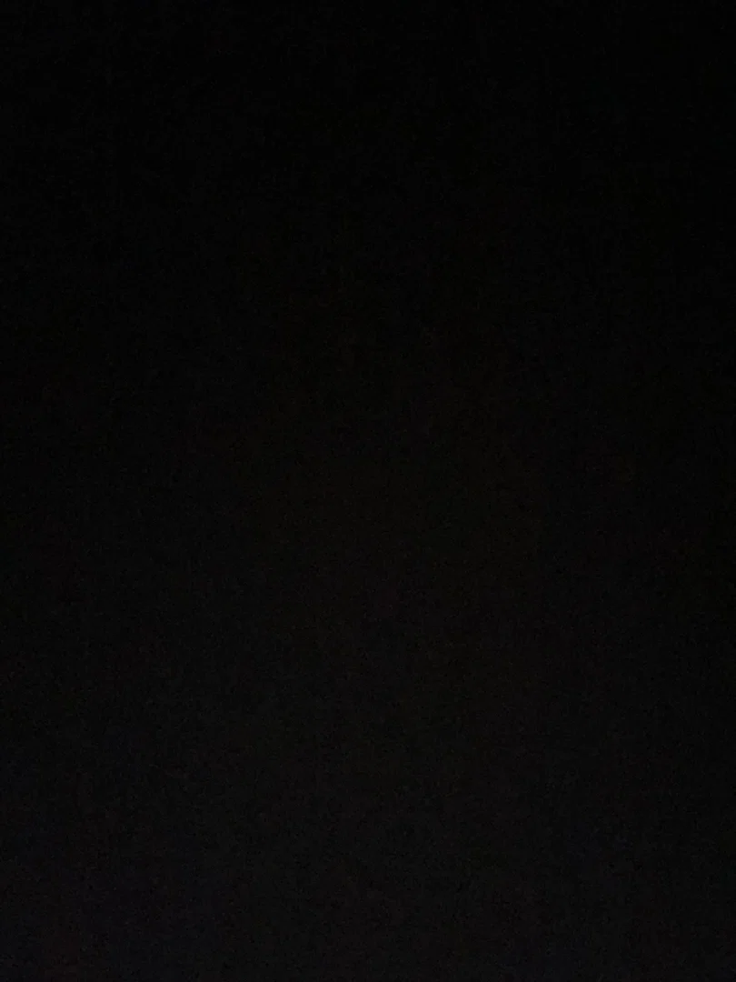 MissD profile banner