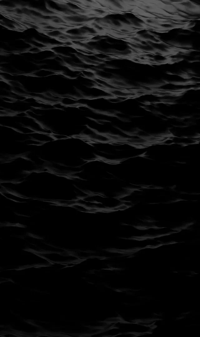 Xavier profile banner