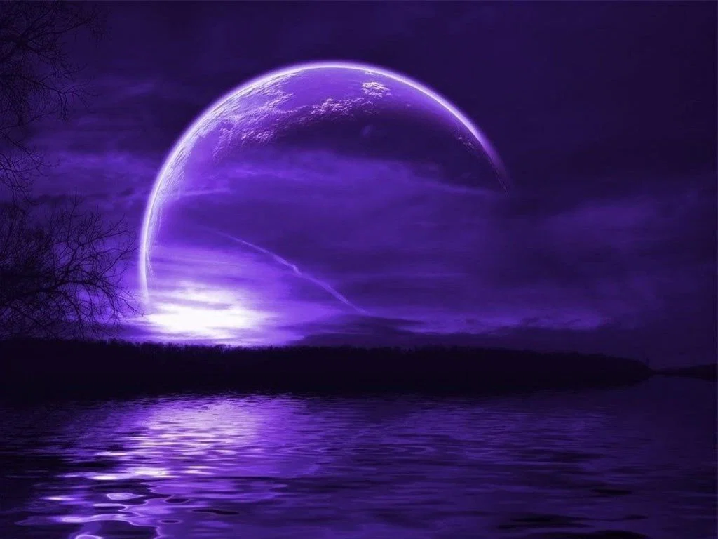 OnMyNeez profile banner