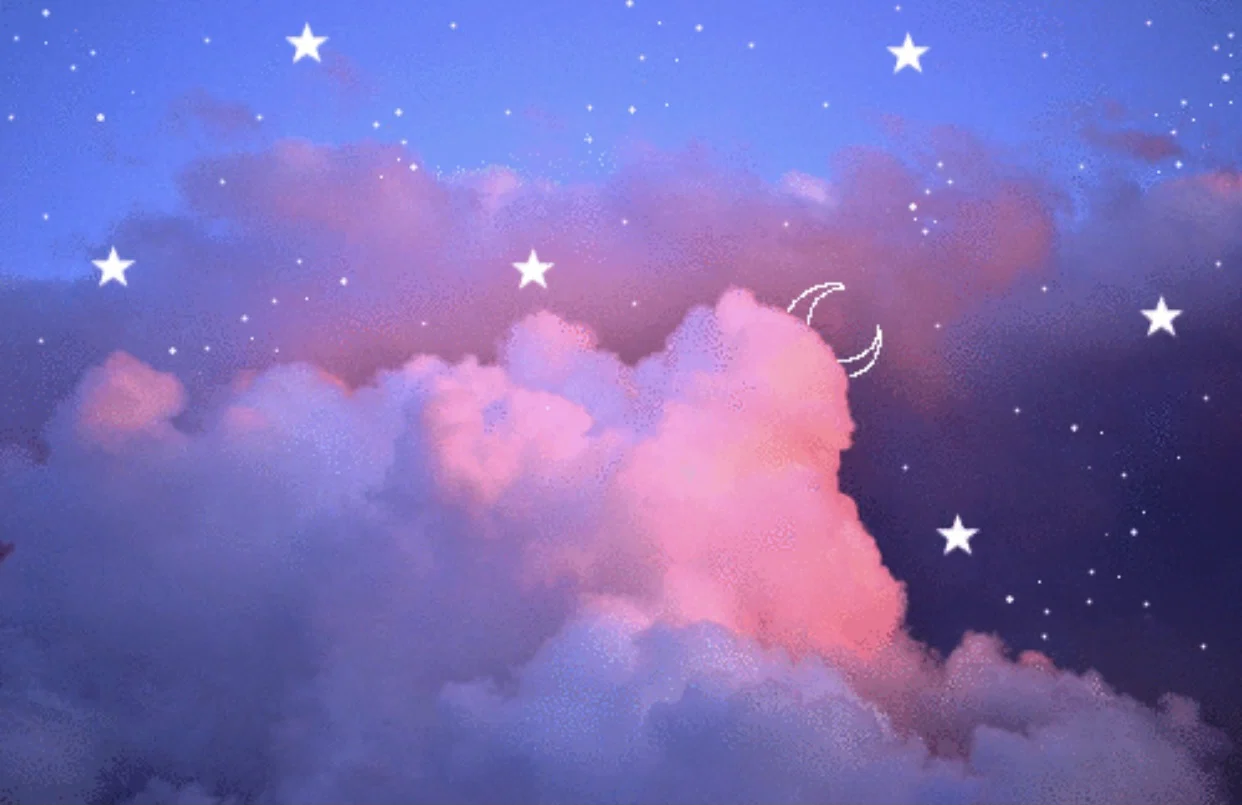 starr profile banner