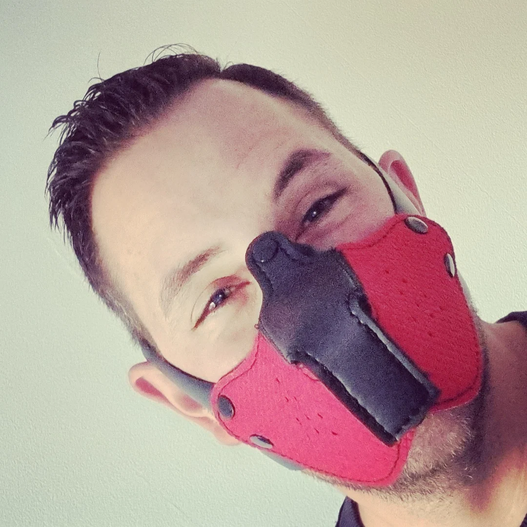 Pup_Flaks profile banner