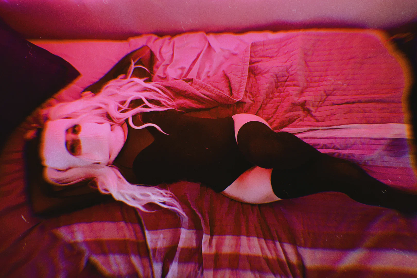rosewolf🥀 profile banner