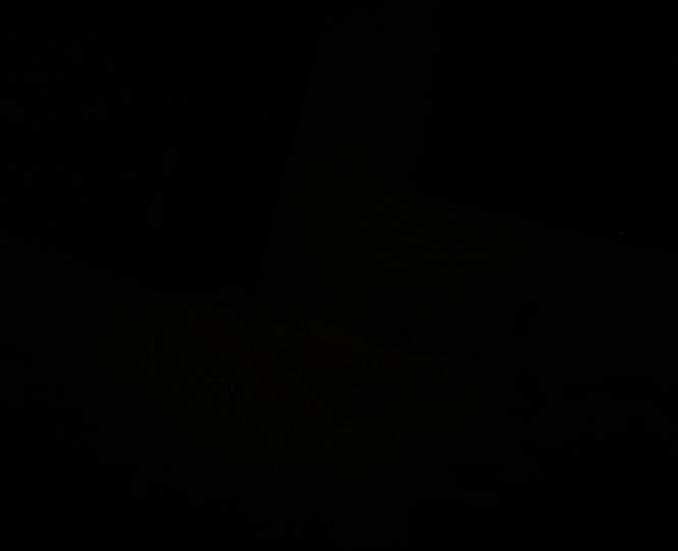 Diana sanchez profile banner