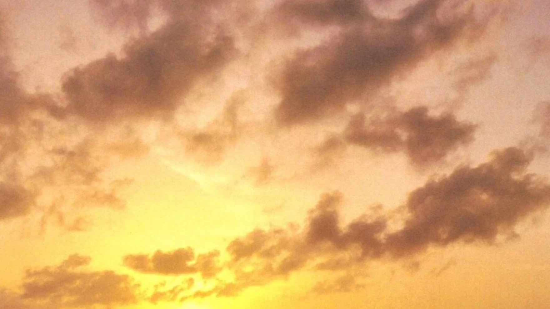 Luca Twink profile banner