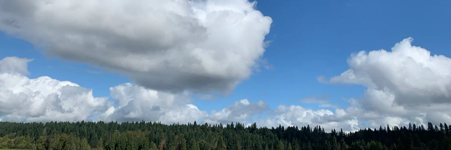 TayBae profile banner